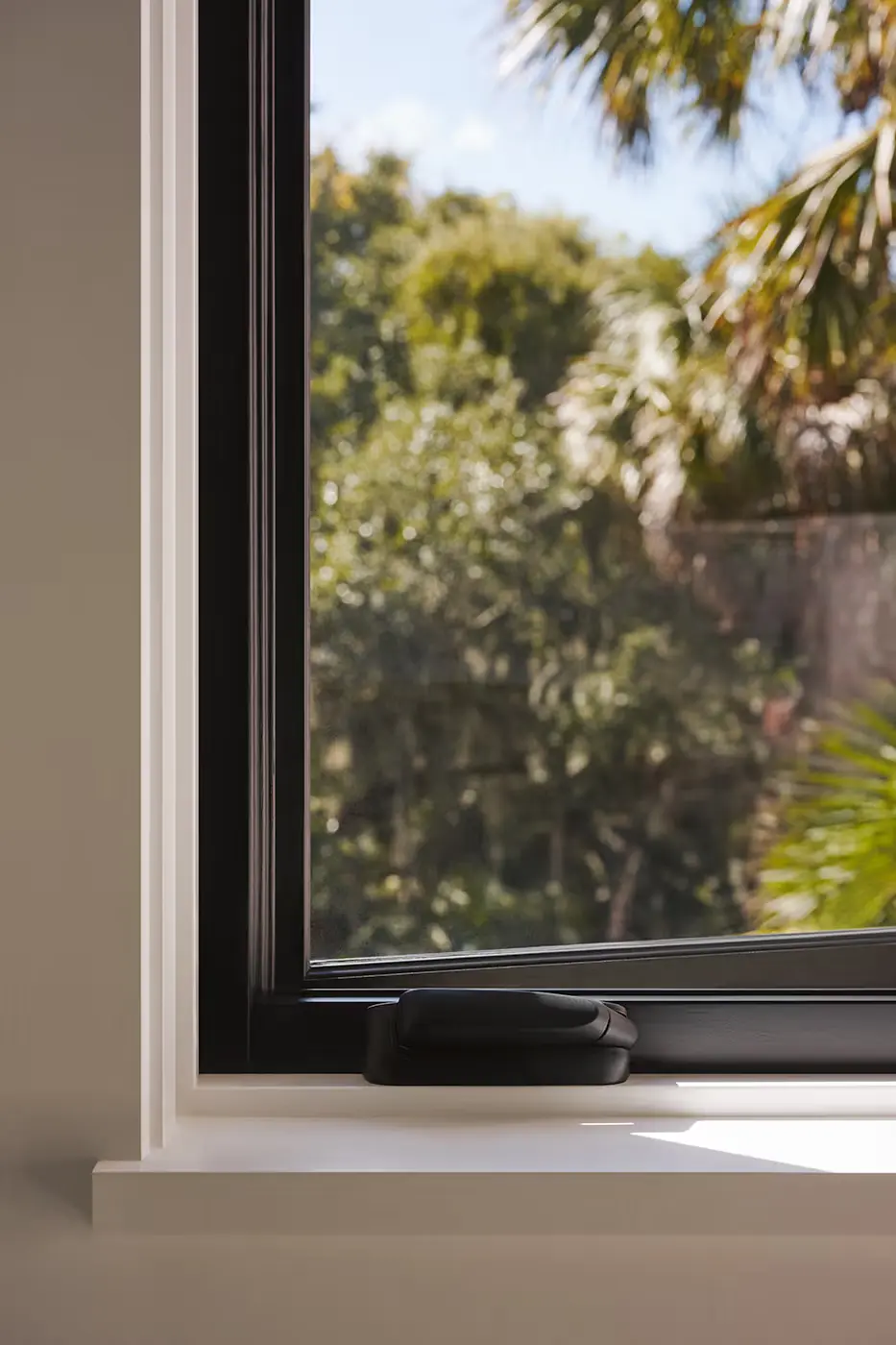Close-up of a black-framed window slightly open, with a window latch visible on the sill. Outside, there are green trees and palm leaves against a blue sky.