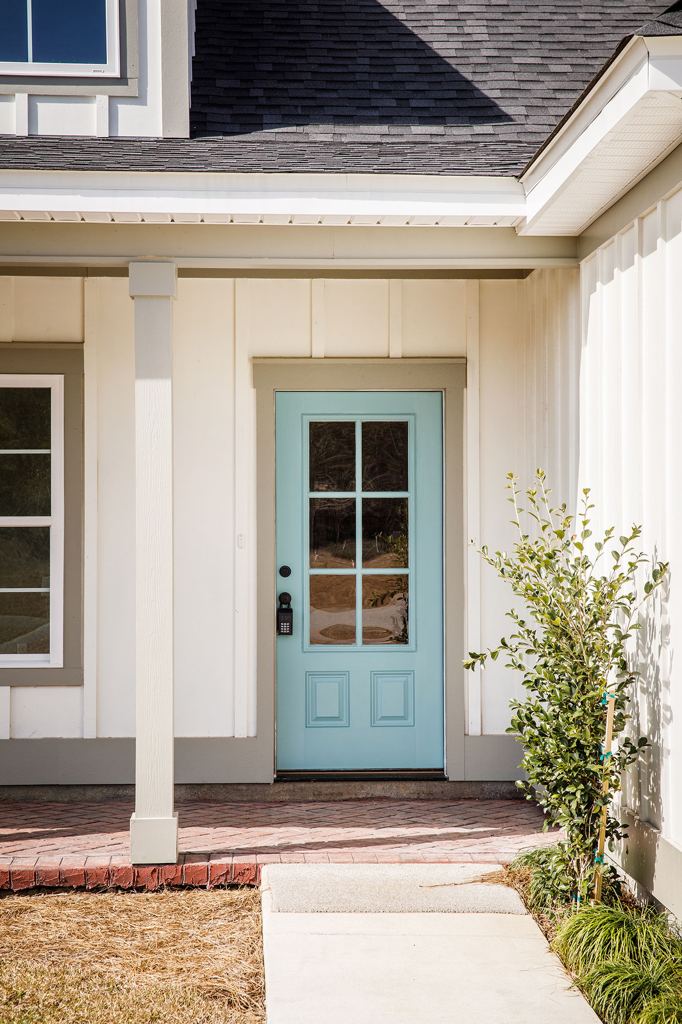 A modern house entrance with a light blue door featuring glass panels, white siding, gray trim, a small front porch, and a green shrub to the right of the door.